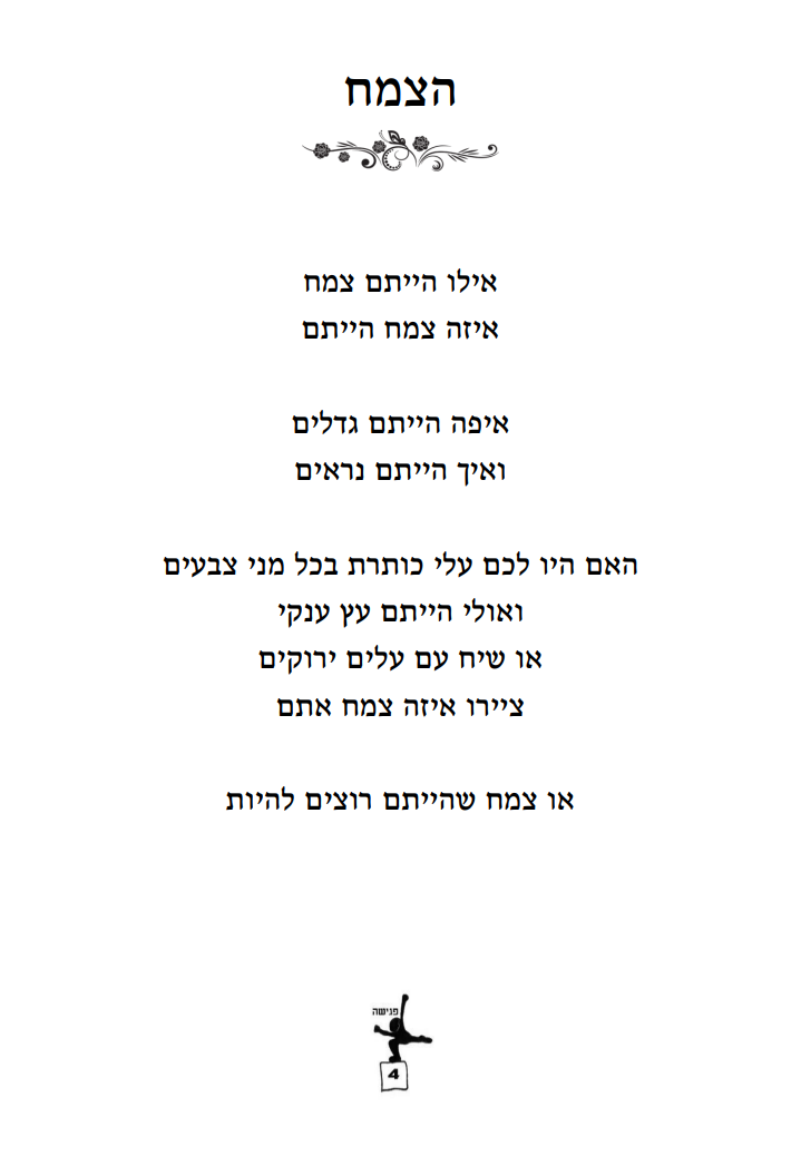 דף משימה מהחוברת — ציור פרח